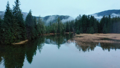 Imagen de Vivir bajo cero: Port Protection Alaska  - 5