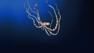 Imagen de Los secretos de los...: Mentes maestras - 4