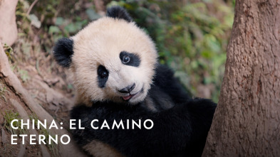 Imagen de China: El camino eterno: Antiguas rutas comerciales - 4