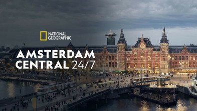 Imagen de Amsterdam Central 24/7: El día del Rey - 4