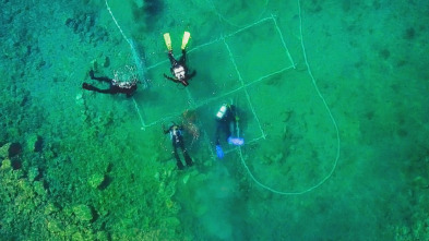 Imagen de Tesoros perdidos de...: Armas de guerra - 3