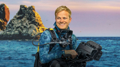 Imagen de Tiburones martillo en primer plano con Bertie Gregory - 8