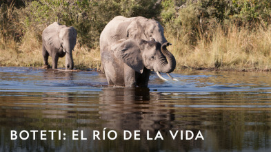 Imagen de Boteti: el río de la vida: Edén - 8