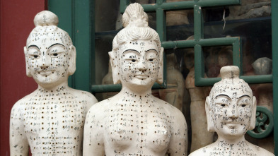 Imagen de Misterios De La...: Panacea venenosa/, un tratamiento de choque/, el cannabis en China - 5