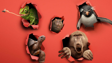 Imagen de Bichos raros: Sin Miedo a Ser Diferentes - 3