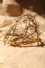 Imagen de Expedientes misterio...: Los secretos de la crucifixión - 2