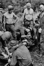 Imagen de Dentro de la Segunda Guerra Mundial  - 11