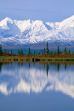 Imagen de Alaska salvaje - 3