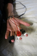 Imagen de Paranormal: Apocalipsis animal - 2