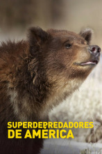 Imagen de Superdepredadores de América - 9