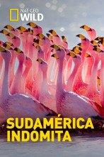 Imagen de Sudamérica indómita - 9