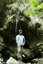 Imagen de Los tesoros perdidos...: Los secretos de la ciudad perdida - 4