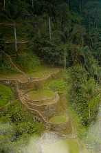 Imagen de Ciudades perdidas con...: Machu Picchu, la isla inca de las nubes - 3