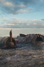 Imagen de Drenar los océanos 3: Ll último barco esclavista de América - 4