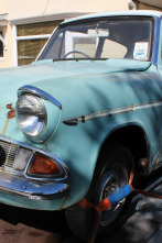 Imagen de Car S.O.S.: Citroen DS - 4