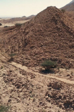 Imagen de Emiratos Árabes desde el aire - 6