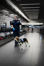 Imagen de Control de...: Un túnel desde Tijuana - 3