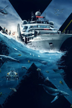 Imagen de OceanXplorers: El tiburón del Jurásico - 3