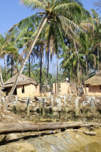 Imagen de Tsunami: La carrera...: Rescate - 3
