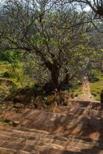 Tesoros perdidos de Angkor: el antiguo Laos al descubierto 