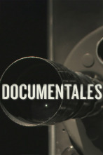 Imagen de Tras el desastre: Accidentes - 3