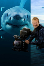 Imagen de Tiburones en primer plano con Bertie Gregory - 7