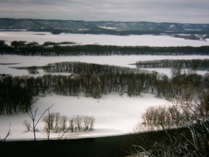 Imagen de Misisipi salvaje  - 1