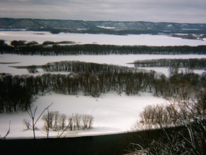 Imagen de Misisipi salvaje: La helada - 2