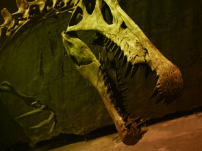 Imagen de Más grande que el T. Rex - 10