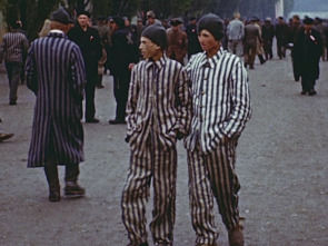 Imagen de Rendición: La caída de la Alemania nazi - 3