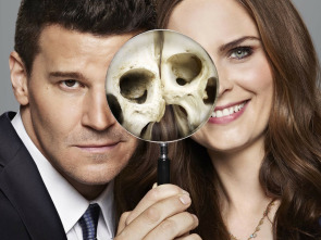 Imagen de Bones (T12): Ep.2 El cerebro en el robot - 1
