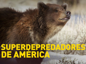 Imagen de Superdepredadores de América - 8