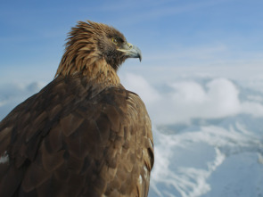 Imagen de Planeta hostil: Océanos - 3