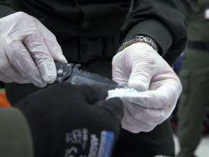 Imagen de Alerta aeropuerto:...: Todo queda en familia - 1