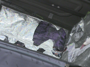 Imagen de Alerta Aeropuerto 6: Perú y Brasil  - 5