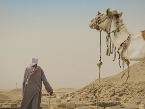 Imagen de Especial el reino de...: El negocio de la muerte - 2