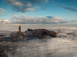 Imagen de Drenar los océanos: a...: Barcos fantasma - 3