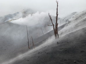 Islas Canarias: Nacidas del Fuego