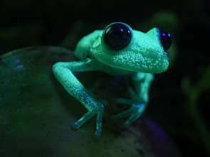Imagen de Wild Argentina: Tierra de agua - 3