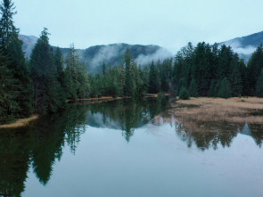 Imagen de Vivir bajo cero: Port Protection Alaska  - 3