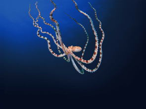 Imagen de Los secretos de los...: Seres sociales - 2