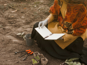 Tesoros perdidos de La Biblia 