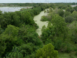 Imagen de Huracán Katrina: la...: Disparar a matar - 2