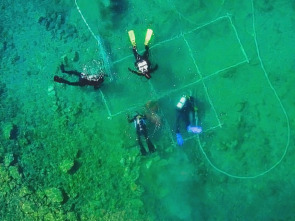 Imagen de Tesoros perdidos de...: Armas de guerra - 1