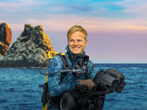Imagen de Tiburones martillo en primer plano con Bertie Gregory - 2