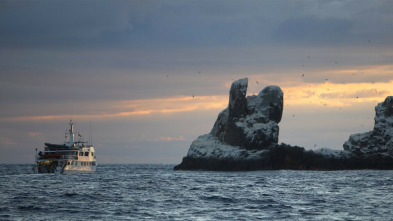 Imagen de La isla de los tiburones - 12
