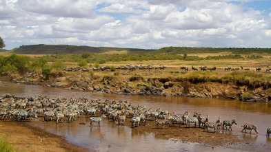 Imagen de El río más sangriento de África - 3