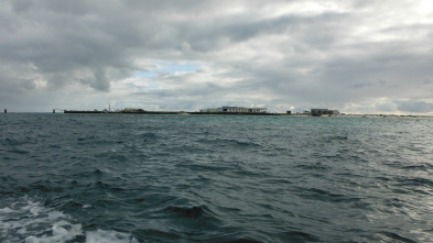 Imagen de Wild Hawaii  - 7