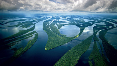 Amazonía: Paraíso depredador