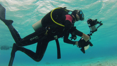 Imagen de Guerreros de los océanos - 12